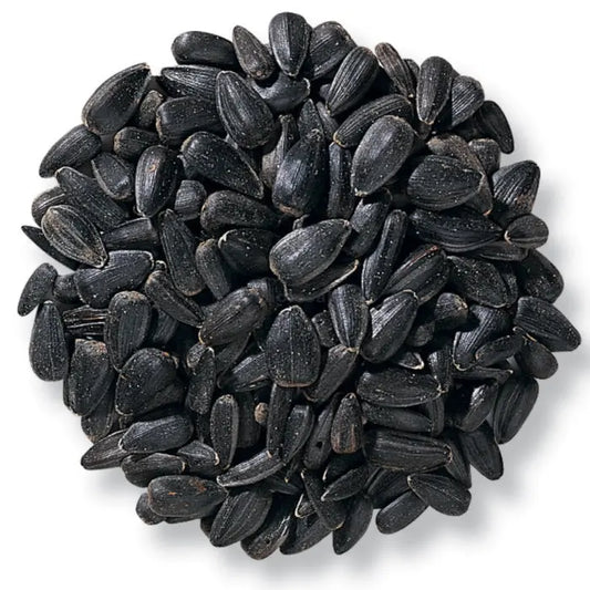 Sunflower Organic Seeds