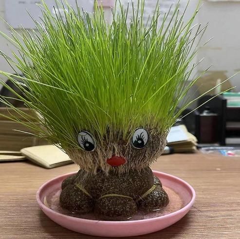 Cute Grass Doll Grow Bag Pots