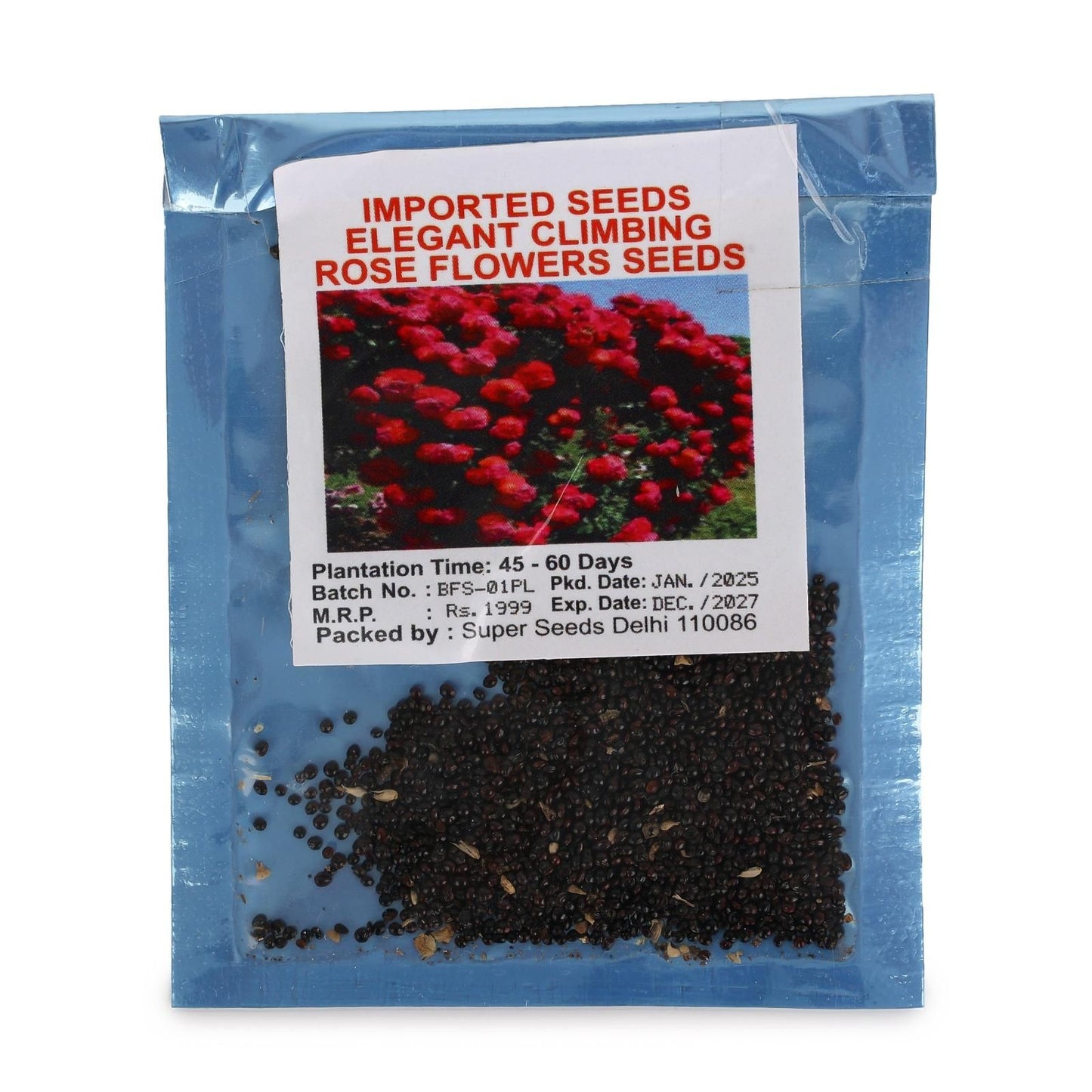 Climbing Rose Flower Seeds
